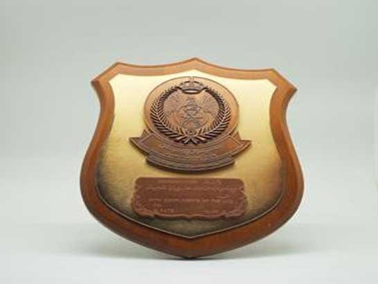 درع شيلد برونزي