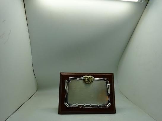 درع اسباني بارز