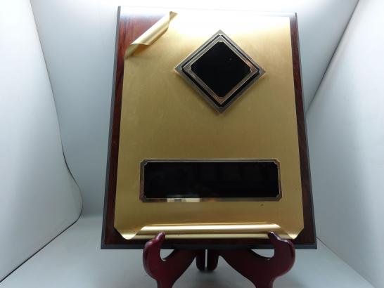 درع كبير ورقة مطوية