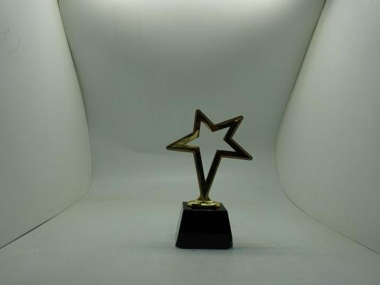 مجسم نجمة اكاديمي