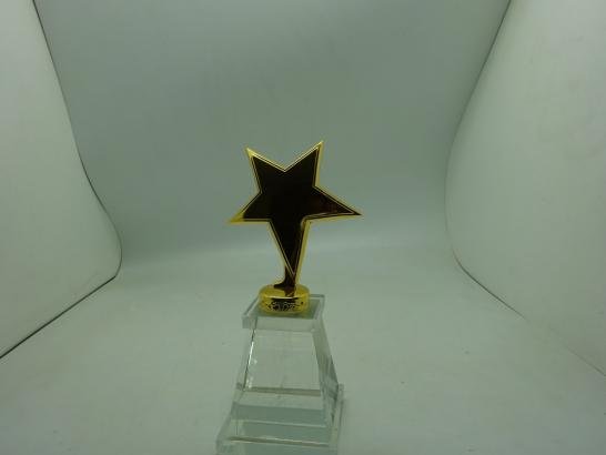 مجسم نجمه بقاعدة اكرليك