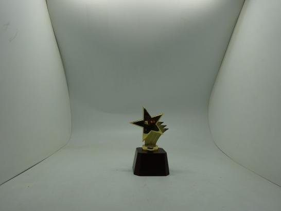 مجسم نجمه بقاعدة