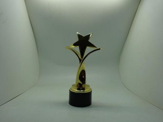 مجسم نجمه بقاعدة xf