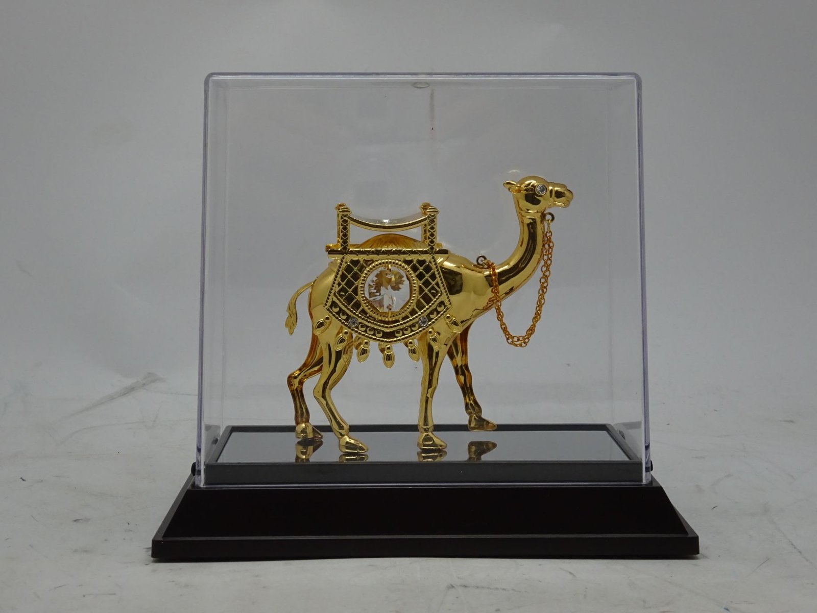 مجسم الجمل داخل صندوق اكرليك وسط
