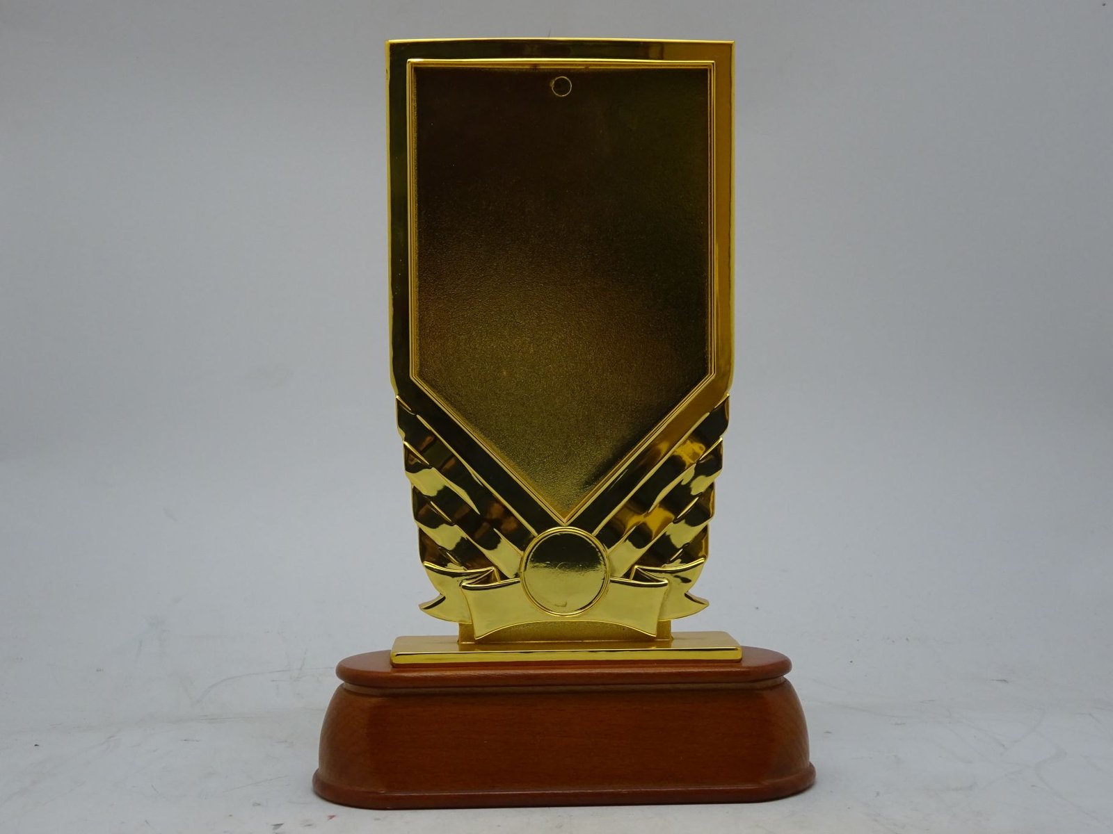 مجسم درع مميز 1